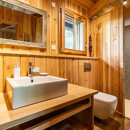 En Bois Avec Piscine Chauffee, Proche & Degustations Ostreicoles - Fr-1-736-38 Villa Lège-Cap-Ferret