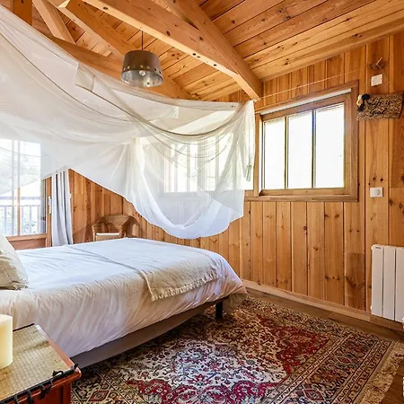 Vila En Bois Avec Piscine Chauffee, Proche & Degustations Ostreicoles - Fr-1-736-38 *
