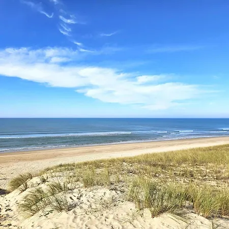 En Bois Avec Piscine Chauffee, Proche & Degustations Ostreicoles - Fr-1-736-38