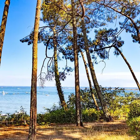 En Bois Avec Piscine Chauffee, Proche & Degustations Ostreicoles - Fr-1-736-38 Villa