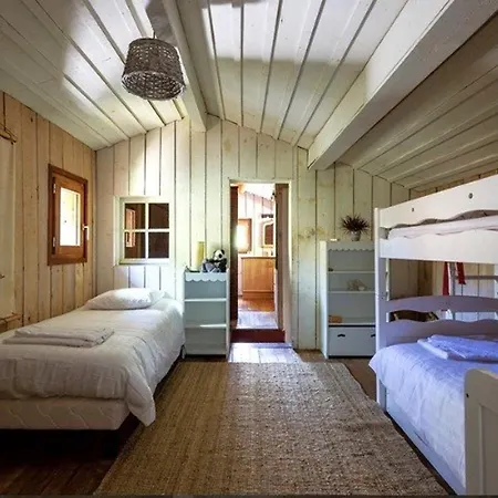 Villa En Bois Avec Piscine Chauffee, Proche & Degustations Ostreicoles - Fr-1-736-38 Lège-Cap-Ferret